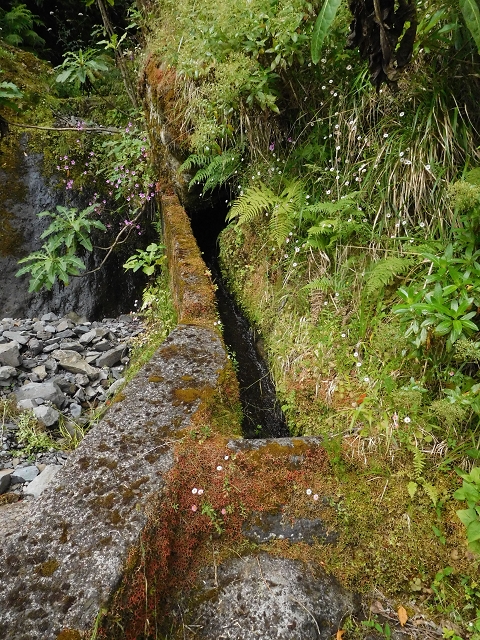 29.06.2016 Zum alten Verlauf der Levadinha Joao de Deus und über die Levada do Pico Ruivo und Serra do Faial zurück — Auf der Levada da Serra do Faial zur Ribeira Seco — Foto 4