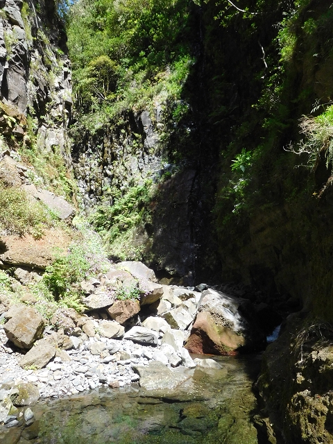 29.06.2016 Zum alten Verlauf der Levadinha Joao de Deus und über die Levada do Pico Ruivo und Serra do Faial zurück — Auf der Levada da Serra do Faial zur Ribeira Seco — Foto 5