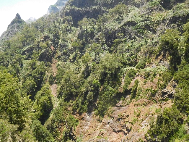 29.06.2016 Zum alten Verlauf der Levadinha Joao de Deus und über die Levada do Pico Ruivo und Serra do Faial zurück — Auf der neuen Levadinha zurück zur Ribeira Seca — Foto 1