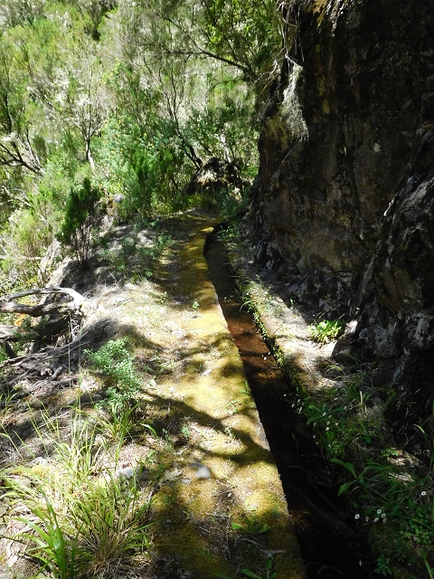 29.06.2016 Zum alten Verlauf der Levadinha Joao de Deus und über die Levada do Pico Ruivo und Serra do Faial zurück — Auf der neuen Levadinha zurück zur Ribeira Seca — Foto 2