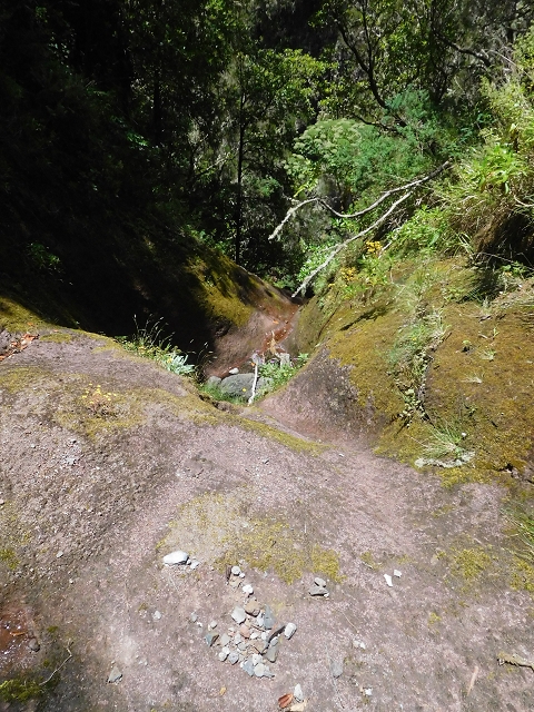 29.06.2016 Zum alten Verlauf der Levadinha Joao de Deus und über die Levada do Pico Ruivo und Serra do Faial zurück — Auf der neuen Levadinha zurück zur Ribeira Seca — Foto 3