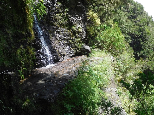 29.06.2016 Zum alten Verlauf der Levadinha Joao de Deus und über die Levada do Pico Ruivo und Serra do Faial zurück — Auf der neuen Levadinha zurück zur Ribeira Seca — Foto 4
