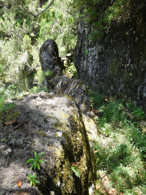 29.06.2016 Zum alten Verlauf der Levadinha Joao de Deus und über die Levada do Pico Ruivo und Serra do Faial zurück — Auf der neuen Levadinha zurück zur Ribeira Seca — Foto 5