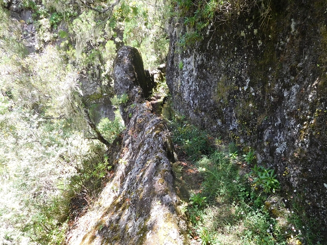 29.06.2016 Zum alten Verlauf der Levadinha Joao de Deus und über die Levada do Pico Ruivo und Serra do Faial zurück — Auf der neuen Levadinha zurück zur Ribeira Seca — Foto 6
