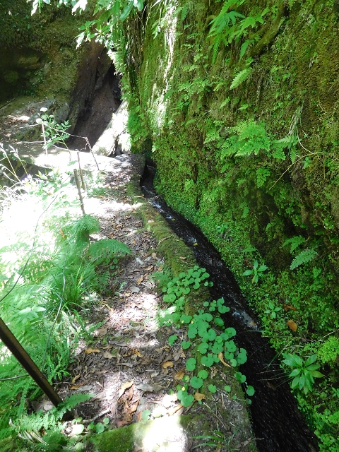 29.06.2016 Zum alten Verlauf der Levadinha Joao de Deus und über die Levada do Pico Ruivo und Serra do Faial zurück — Auf der neuen Levadinha zurück zur Ribeira Seca — Foto 8