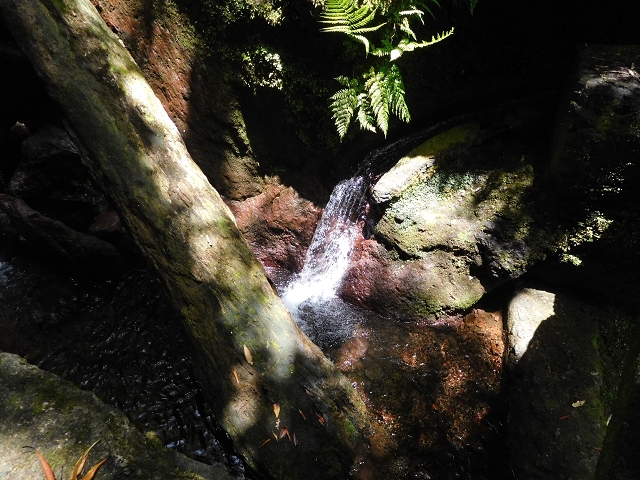 29.06.2016 Zum alten Verlauf der Levadinha Joao de Deus und über die Levada do Pico Ruivo und Serra do Faial zurück — Auf der neuen Levadinha zurück zur Ribeira Seca — Foto 9
