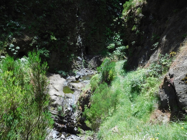 29.06.2016 Zum alten Verlauf der Levadinha Joao de Deus und über die Levada do Pico Ruivo und Serra do Faial zurück — Auf der neuen Levadinha zurück zur Ribeira Seca — Foto 13