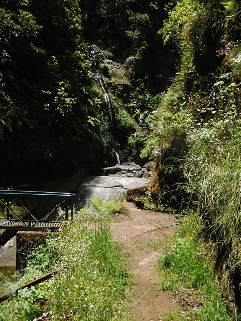 29.06.2016 Zum alten Verlauf der Levadinha Joao de Deus und über die Levada do Pico Ruivo und Serra do Faial zurück — Auf der neuen Levadinha zurück zur Ribeira Seca — Foto 14