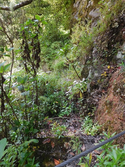 Levada da Serra do Faial — Alter Verlauf der Levada do Pico Ruivo (teilweise aktuelle Levadinha Joao de Deus und Spuren ab der Röhre von der Levadinha) — Foto 4