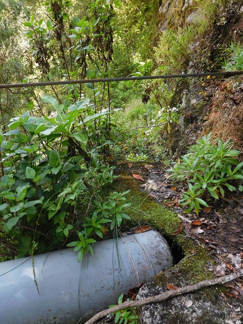 Levada da Serra do Faial — Alter Verlauf der Levada do Pico Ruivo (teilweise aktuelle Levadinha Joao de Deus und Spuren ab der Röhre von der Levadinha) — Foto 5