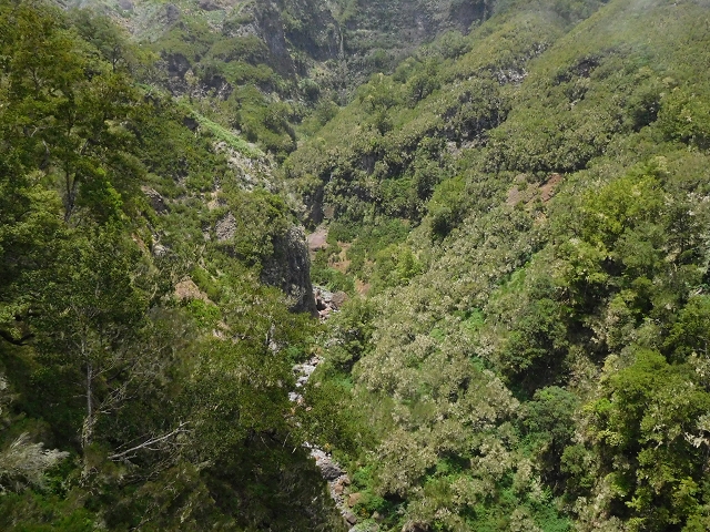 29.06.2016 Zum alten Verlauf der Levadinha Joao de Deus und über die Levada do Pico Ruivo und Serra do Faial zurück — Zurück auf der Levada da Serra do Faial zur Ribeira da Faja Nogueira — Foto 3