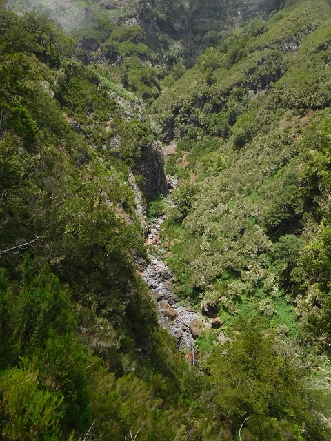 29.06.2016 Zum alten Verlauf der Levadinha Joao de Deus und über die Levada do Pico Ruivo und Serra do Faial zurück — Zurück auf der Levada da Serra do Faial zur Ribeira da Faja Nogueira — Foto 4