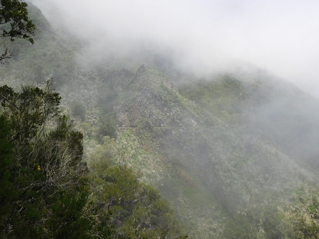 29.06.2016 Zum alten Verlauf der Levadinha Joao de Deus und über die Levada do Pico Ruivo und Serra do Faial zurück — Zurück auf der Levada da Serra do Faial zur Ribeira da Faja Nogueira — Foto 5