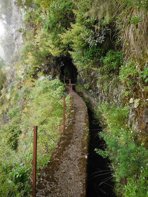 29.06.2016 Zum alten Verlauf der Levadinha Joao de Deus und über die Levada do Pico Ruivo und Serra do Faial zurück — Zurück auf der Levada da Serra do Faial zur Ribeira da Faja Nogueira — Foto 7