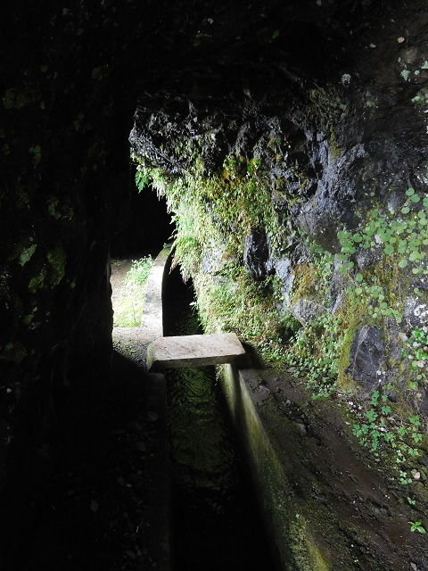 29.06.2016 Zum alten Verlauf der Levadinha Joao de Deus und über die Levada do Pico Ruivo und Serra do Faial zurück — Zurück auf der Levada da Serra do Faial zur Ribeira da Faja Nogueira — Foto 8