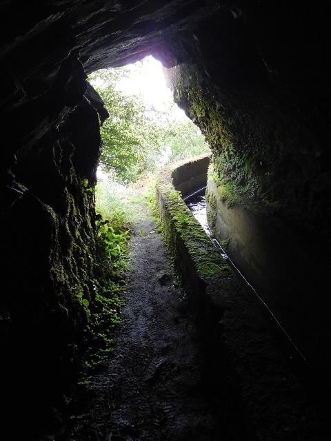 29.06.2016 Zum alten Verlauf der Levadinha Joao de Deus und über die Levada do Pico Ruivo und Serra do Faial zurück — Zurück auf der Levada da Serra do Faial zur Ribeira da Faja Nogueira — Foto 11