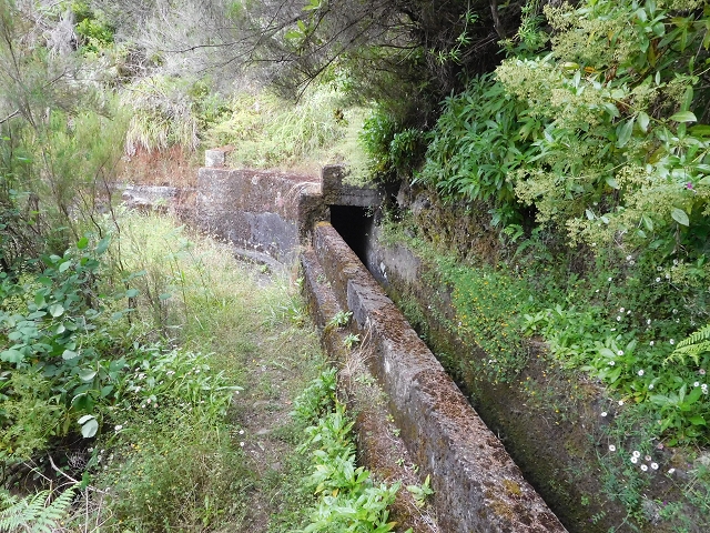29.06.2016 Zum alten Verlauf der Levadinha Joao de Deus und über die Levada do Pico Ruivo und Serra do Faial zurück — Zurück auf der Levada da Serra do Faial zur Ribeira da Faja Nogueira — Foto 12
