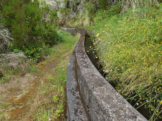 29.06.2016 Zum alten Verlauf der Levadinha Joao de Deus und über die Levada do Pico Ruivo und Serra do Faial zurück — Zurück auf der Levada da Serra do Faial zur Ribeira da Faja Nogueira — Foto 13