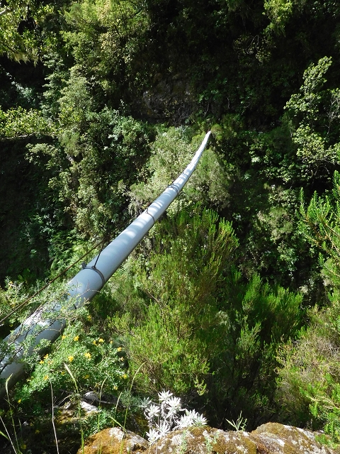 29.06.2016 Zum alten Verlauf der Levadinha Joao de Deus und über die Levada do Pico Ruivo und Serra do Faial zurück — Auf der neuen Levadinha Joao de Deus zur Madre und zurück zum Abstiegsweg — Foto 1