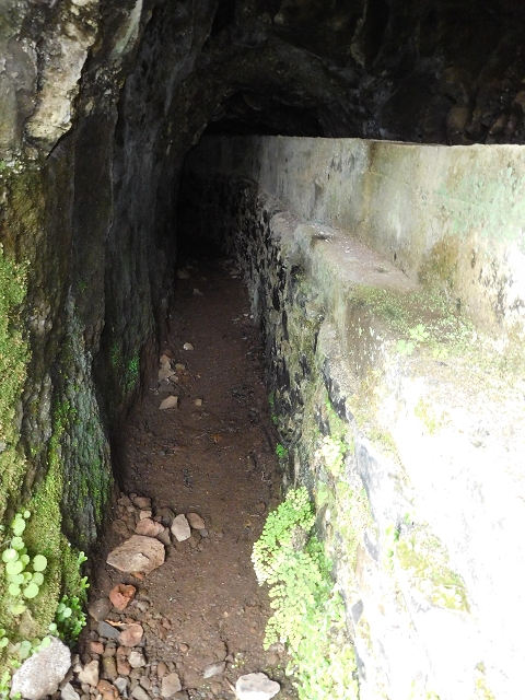 29.06.2016 Zum alten Verlauf der Levadinha Joao de Deus und über die Levada do Pico Ruivo und Serra do Faial zurück — Zurück auf der Levada da Serra do Faial zur Ribeira da Faja Nogueira — Foto 15