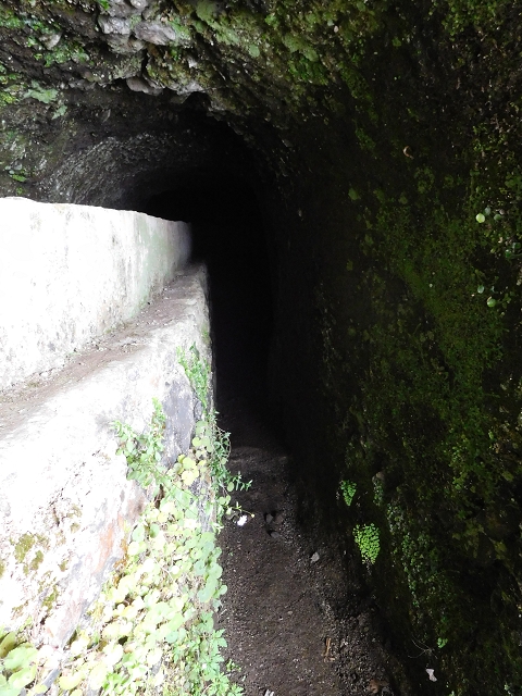 29.06.2016 Zum alten Verlauf der Levadinha Joao de Deus und über die Levada do Pico Ruivo und Serra do Faial zurück — Zurück auf der Levada da Serra do Faial zur Ribeira da Faja Nogueira — Foto 17