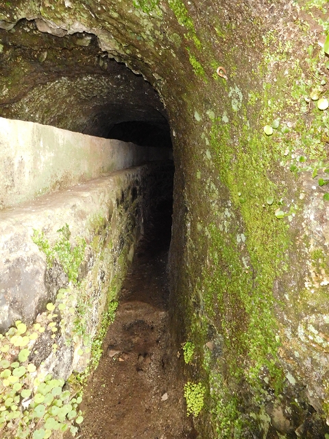29.06.2016 Zum alten Verlauf der Levadinha Joao de Deus und über die Levada do Pico Ruivo und Serra do Faial zurück — Zurück auf der Levada da Serra do Faial zur Ribeira da Faja Nogueira — Foto 18