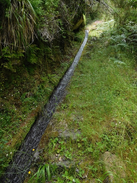 29.06.2016 Zum alten Verlauf der Levadinha Joao de Deus und über die Levada do Pico Ruivo und Serra do Faial zurück — Zurück auf der Levada da Serra do Faial zur Ribeira da Faja Nogueira — Foto 21