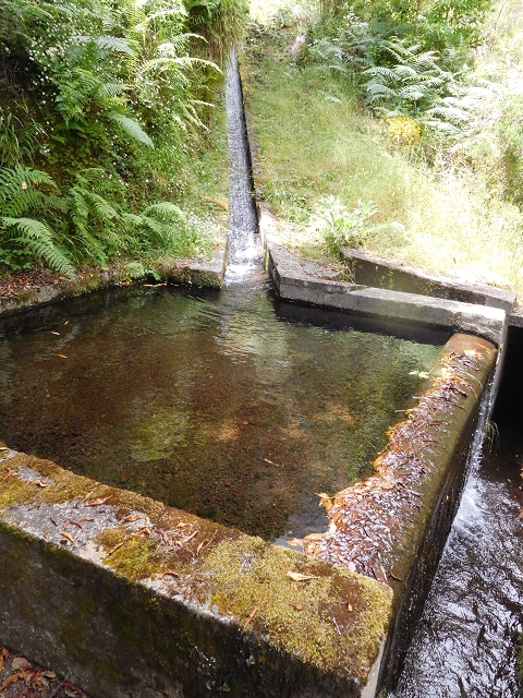 29.06.2016 Zum alten Verlauf der Levadinha Joao de Deus und über die Levada do Pico Ruivo und Serra do Faial zurück — Zurück auf der Levada da Serra do Faial zur Ribeira da Faja Nogueira — Foto 22