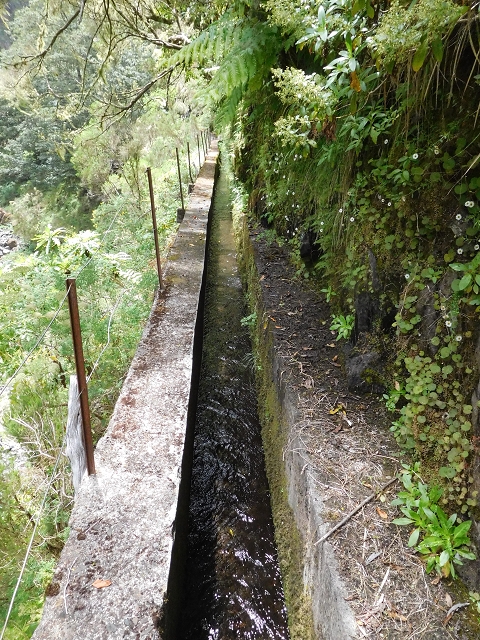 29.06.2016 Zum alten Verlauf der Levadinha Joao de Deus und über die Levada do Pico Ruivo und Serra do Faial zurück — Zurück auf der Levada da Serra do Faial zur Ribeira da Faja Nogueira — Foto 23