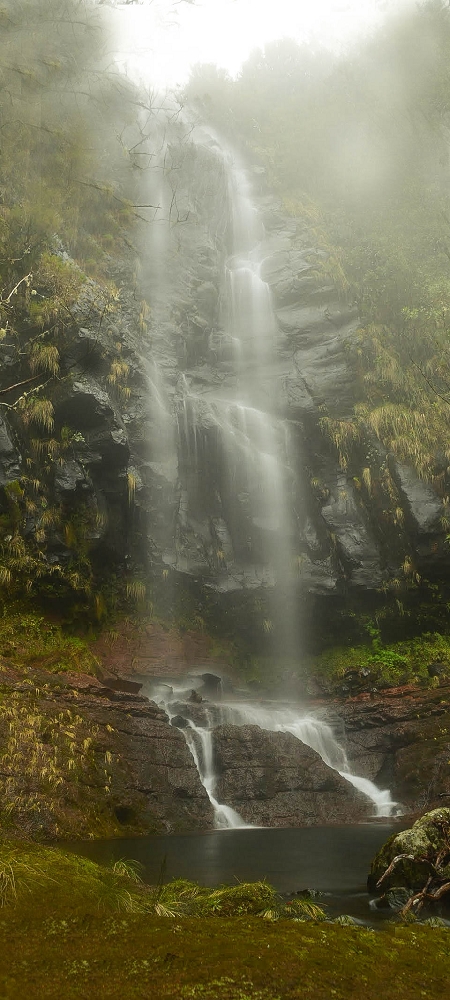 29.06.2022  und die Weiterentdeckung der Levada da Senhora — Along the Levada da Senhora to the Madre — photo 9