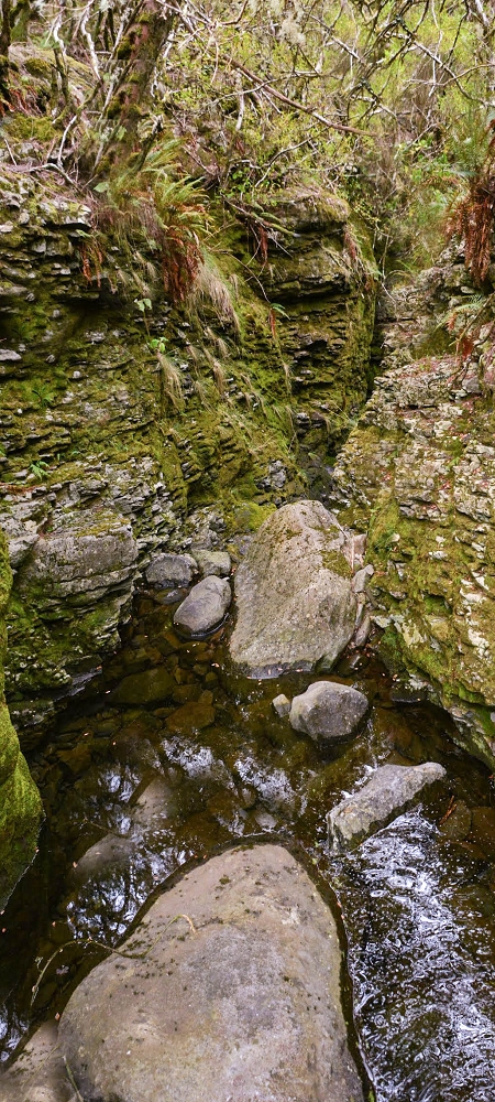 29.06.2022  und die Weiterentdeckung der Levada da Senhora — Along the Levada da Senhora to the Madre — photo 10