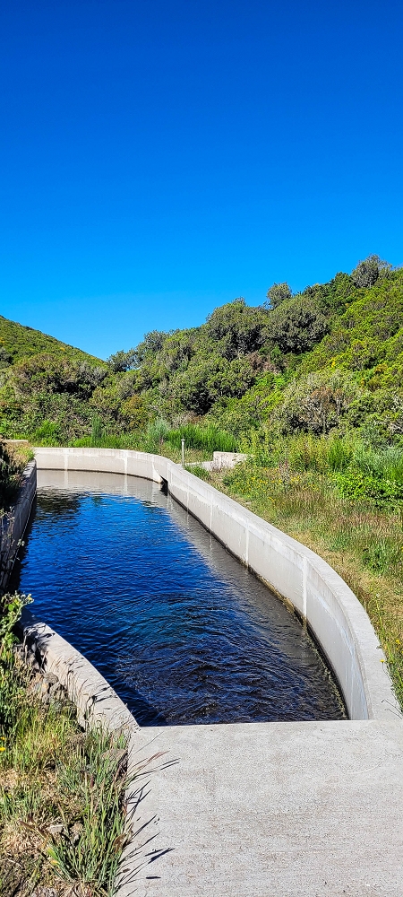 29.06.2022  und die Weiterentdeckung der Levada da Senhora — Zur  der Levada Velha do Lajeado — photo 4