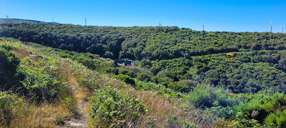 29.06.2022  und die Weiterentdeckung der Levada da Senhora —  ou Rabacal — photo 3