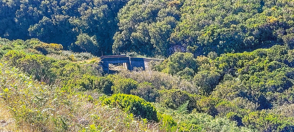 29.06.2022  und die Weiterentdeckung der Levada da Senhora —  ou Rabacal — photo 4
