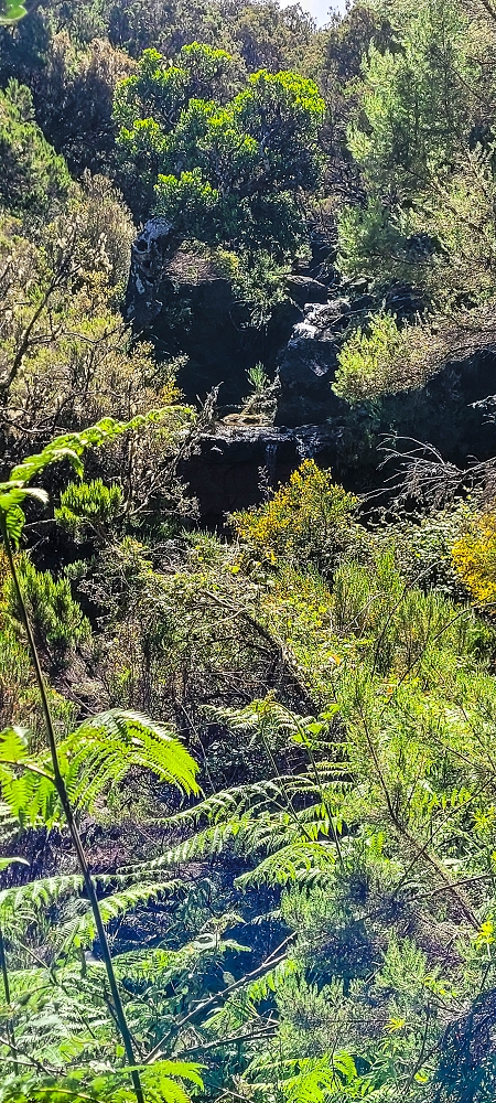 29.06.2022  und die Weiterentdeckung der Levada da Senhora — Along the Levada da Senhora to the Madre — photo 2
