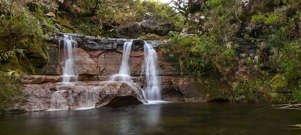 Levada da Senhora (Estreito da Calheta) — Abschnitt 1: Von der Madre zur Vereda do Pau Seco — Foto 5