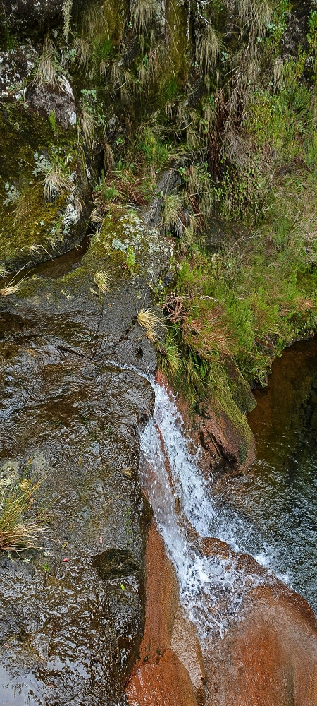 Levada da Senhora (Estreito da Calheta) — Abschnitt 1: Von der Madre zur Vereda do Pau Seco — Foto 9