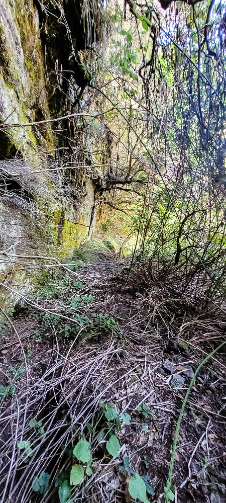 Levada da Senhora (Estreito da Calheta) — Abschnitt 2: Von der Vereda do Paul Seco zur Ribeira Grande — Foto 9