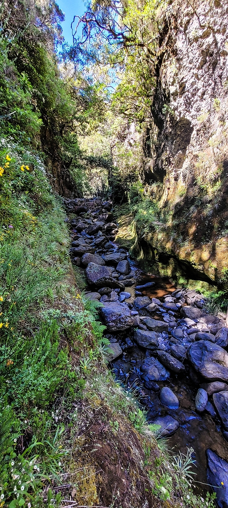 Levada da Senhora (Estreito da Calheta) — Abschnitt 2: Von der Vereda do Paul Seco zur Ribeira Grande — Foto 10