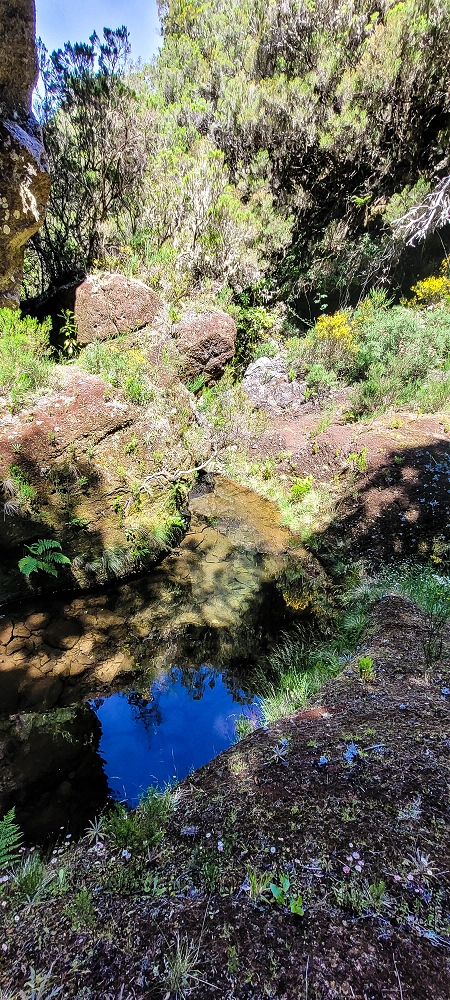 Levada da Senhora (Estreito da Calheta) — Abschnitt 2: Von der Vereda do Paul Seco zur Ribeira Grande — Foto 11
