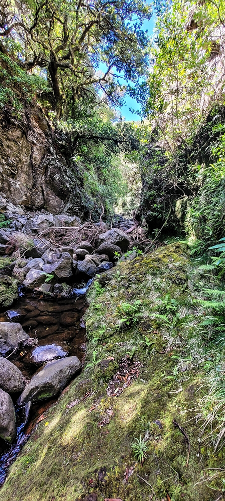 Levada da Senhora (Estreito da Calheta) — Abschnitt 3: Tunnel in der Ribeira Grande — Foto 1