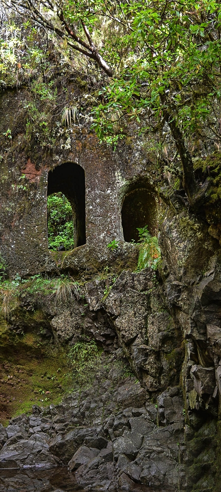 Levada da Senhora (Estreito da Calheta) — Abschnitt 3: Tunnel in der Ribeira Grande — Foto 2