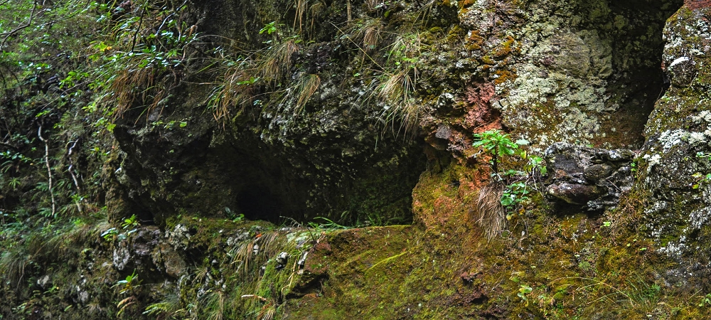 Levada da Senhora (Estreito da Calheta) — Abschnitt 3: Tunnel in der Ribeira Grande — Foto 4