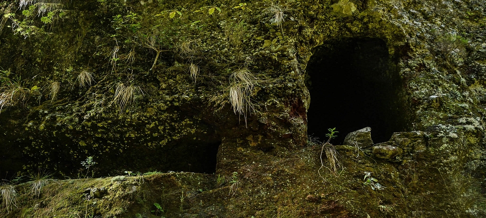 Levada da Senhora (Estreito da Calheta) — Abschnitt 3: Tunnel in der Ribeira Grande — Foto 5