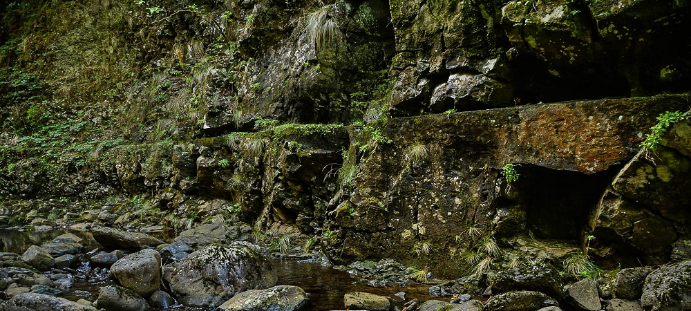 Levada da Senhora (Estreito da Calheta) — Abschnitt 3: Tunnel in der Ribeira Grande — Foto 6