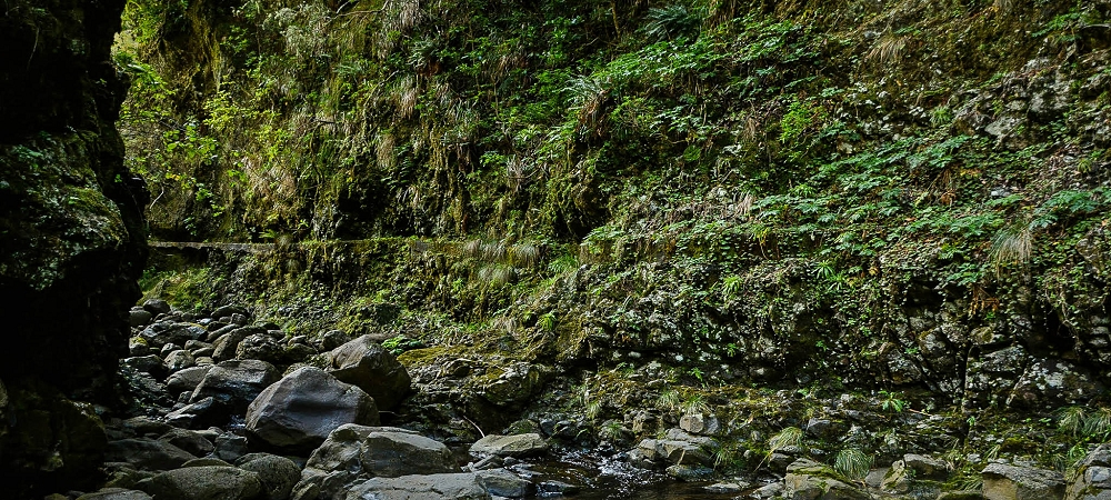 Levada da Senhora (Estreito da Calheta) — Abschnitt 3: Tunnel in der Ribeira Grande — Foto 7