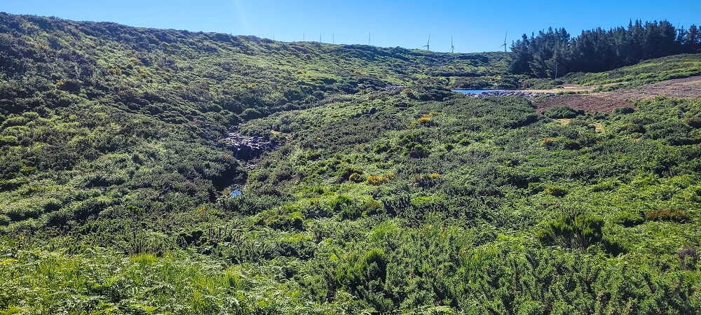 29.06.2022  und die Weiterentdeckung der Levada da Senhora — Halfway round the reservoir — photo 6