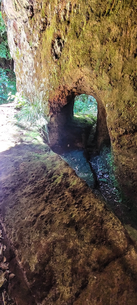 Levada da Senhora (Estreito da Calheta) — Abschnitt 3: Tunnel in der Ribeira Grande — Foto 10