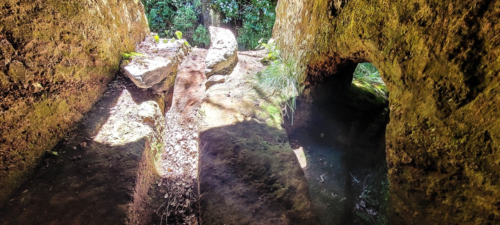 Levada da Senhora (Estreito da Calheta) — Abschnitt 3: Tunnel in der Ribeira Grande — Foto 11