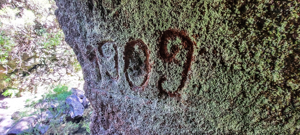 Levada da Senhora (Estreito da Calheta) — Abschnitt 3: Tunnel in der Ribeira Grande — Foto 13